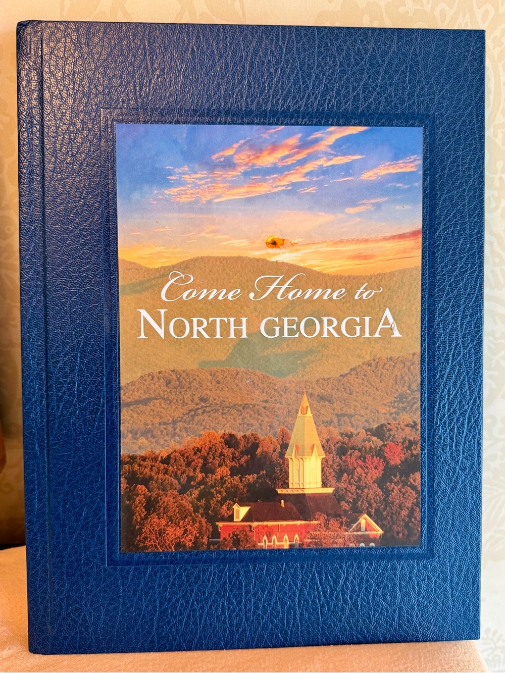 Come Home to North Georgia 2008 NGCSU History Hardcover Book Dahlonega GA